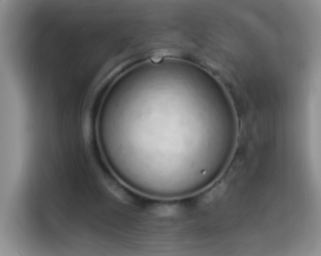 X0000114030247200910021444