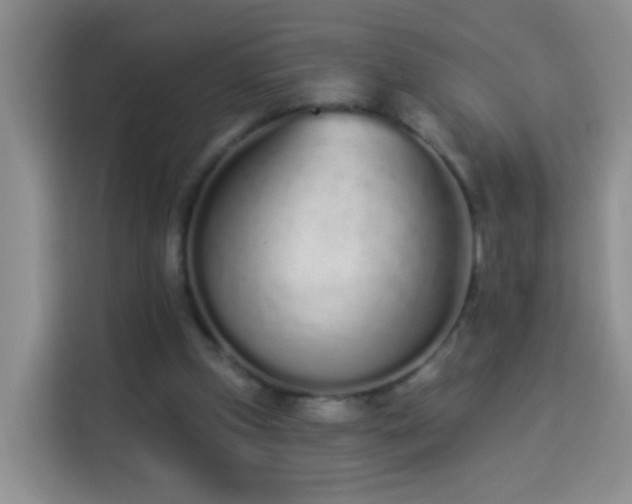 X0000114030249200910021444