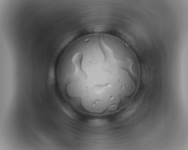 X0000114030251200910021444