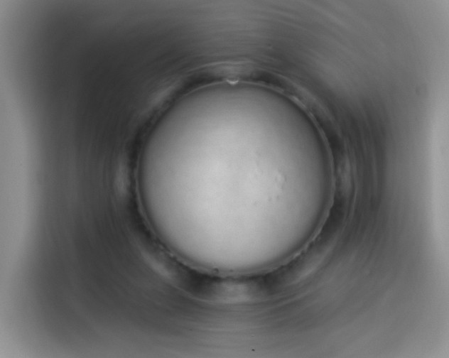 X0000114030255200910021444
