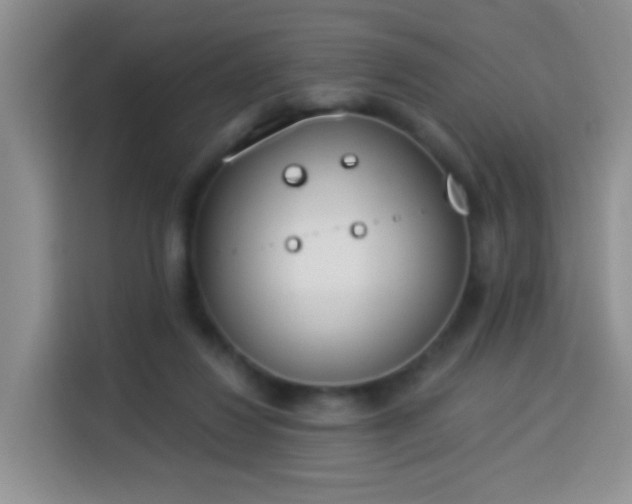 X0000114030260200910021444
