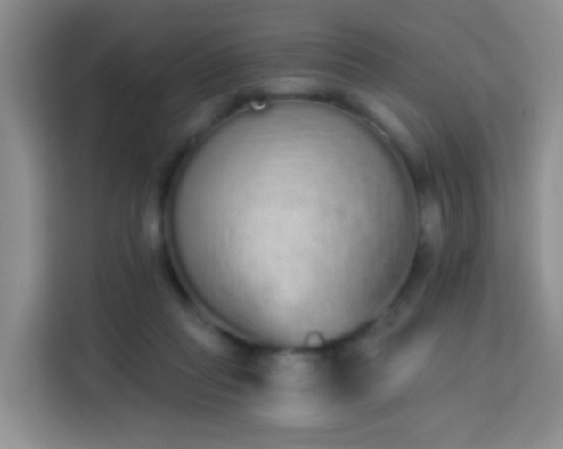X0000114030261200910021444