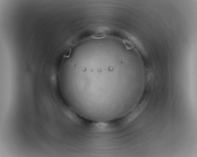 X0000114030265200910021444
