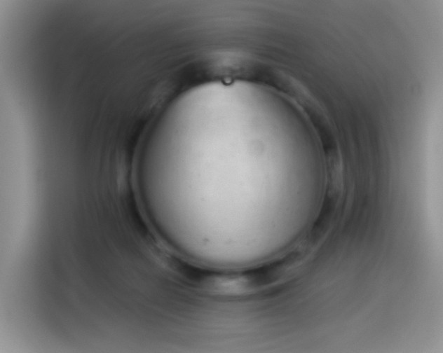 X0000114030266200910021444