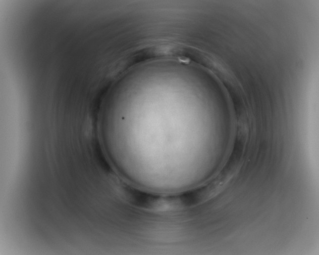 X0000114030270200910021444