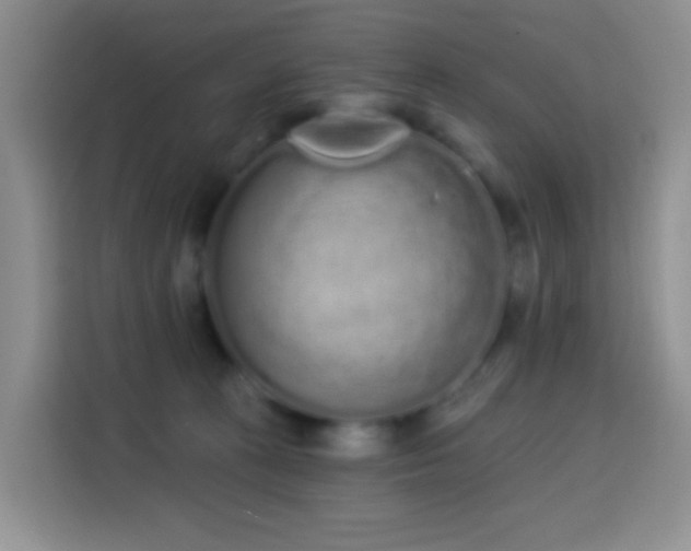 X0000114030273200910021444