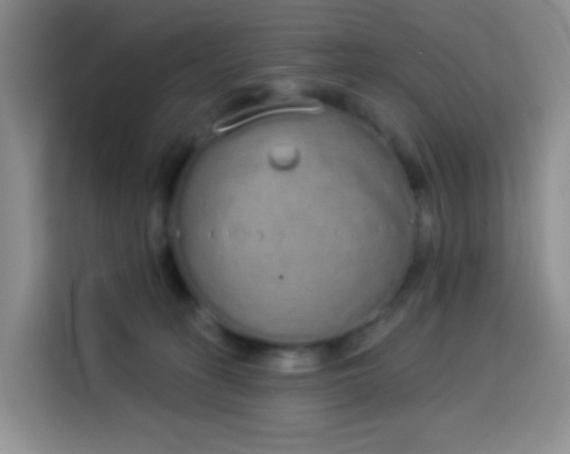 X0000114030275200910021444