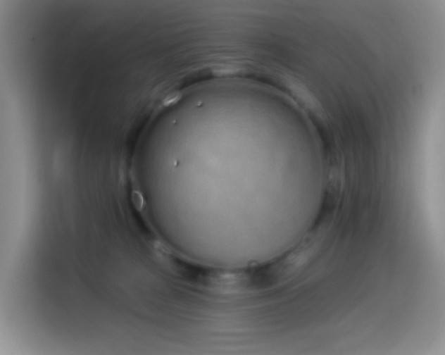 X0000114030277200910021444