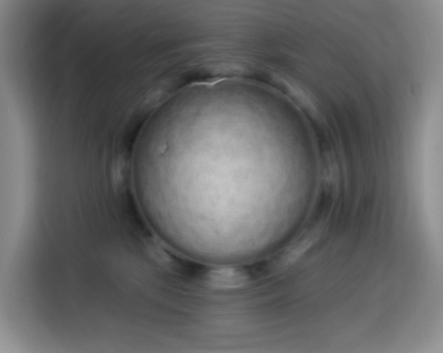 X0000114030281200910021444