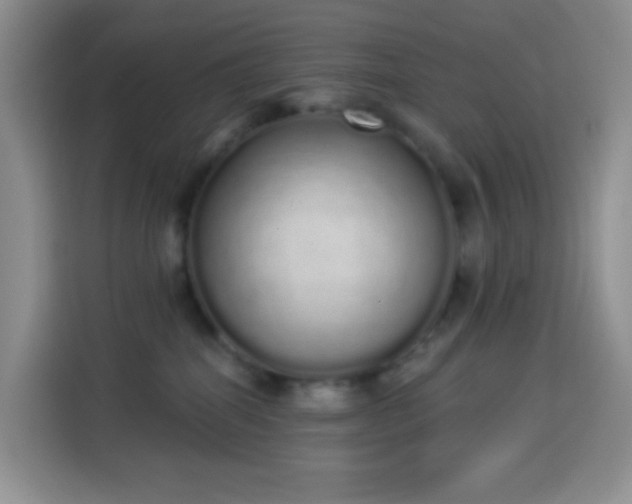X0000114030282200910021444