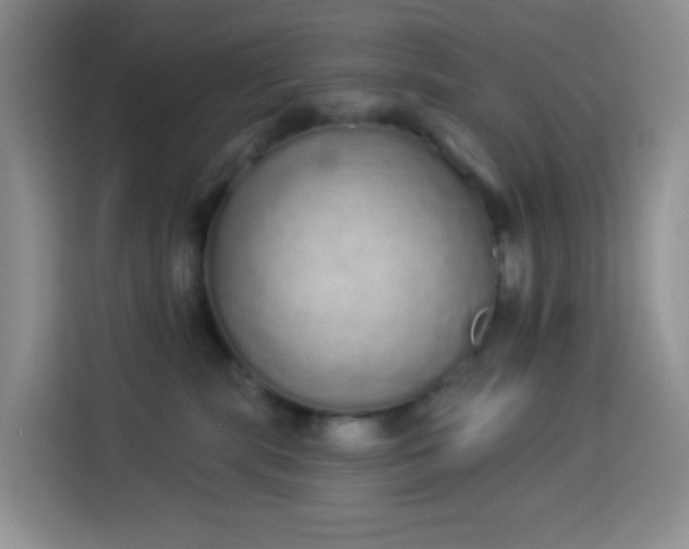 X0000114030283200910021444