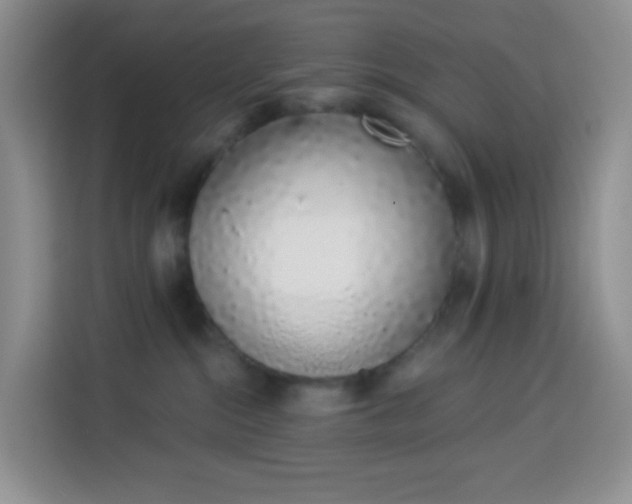 X0000114030284200910021444