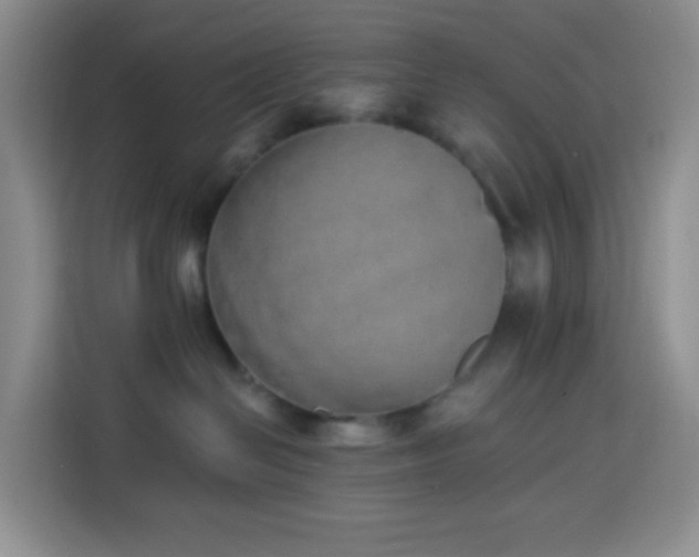 X0000114030286200910021445