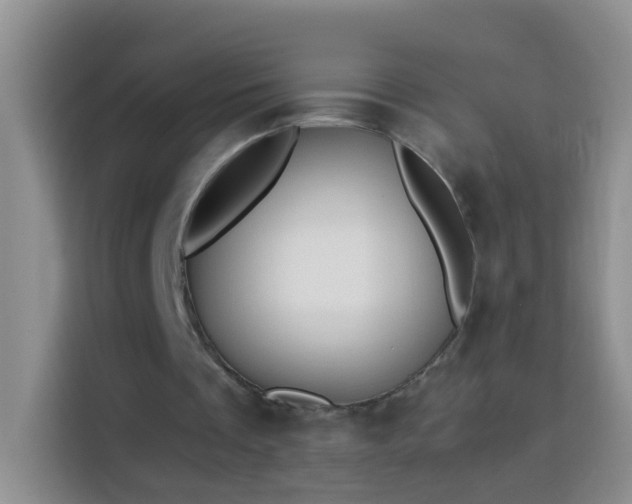 X0000114030289200910021444
