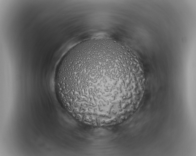 X0000114030290200910021444