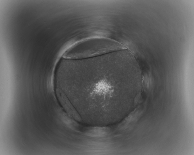 X0000114030292200910021444