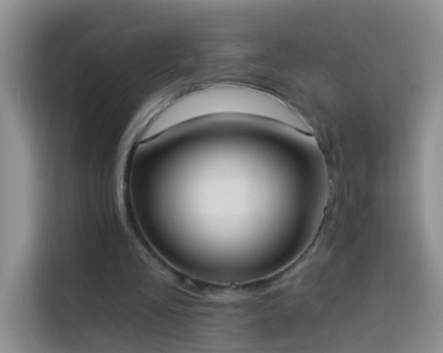X0000114030293200910021444