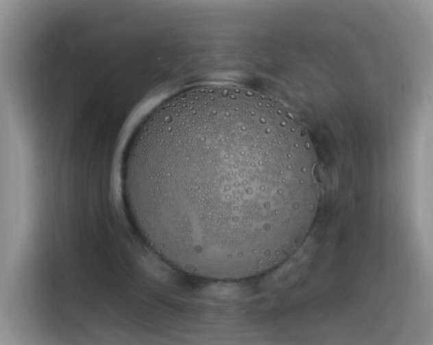 X0000114030294200910021444