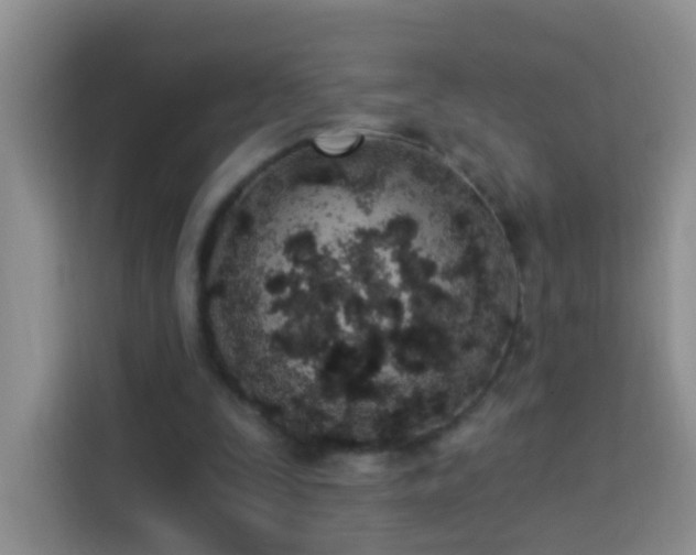 X0000114030295200910021444