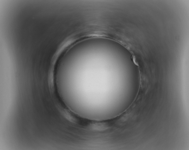 X0000114030296200910021444