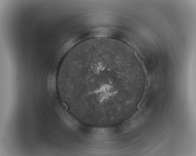 X0000114030297200910021444