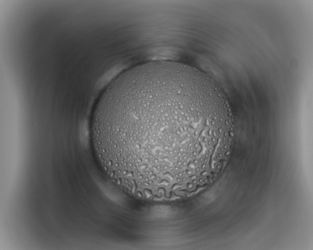 X0000114030298200910021444
