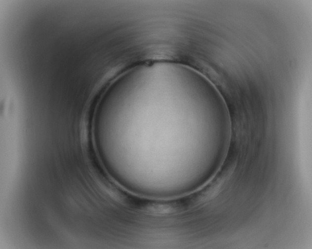 X0000114030299200910021444