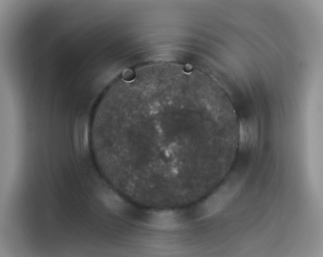 X0000114030301200910021444