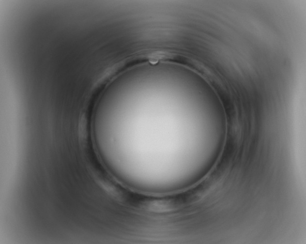 X0000114030303200910021444