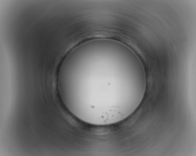 X0000114030305200910021444