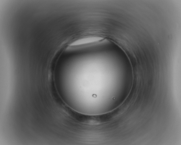 X0000114030308200910021444