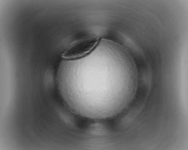 X0000114030312200910021444