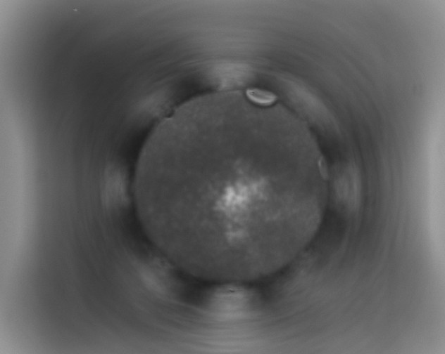 X0000114030316200910021444