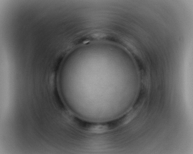 X0000114030319200910021444