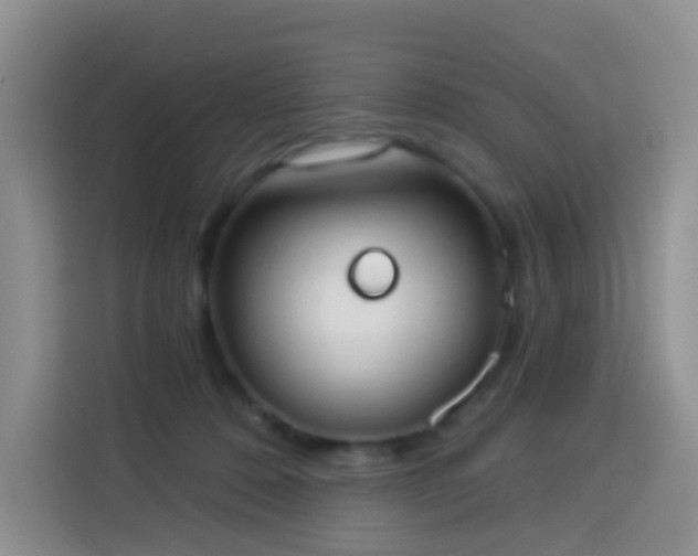 X0000114030320200910021444