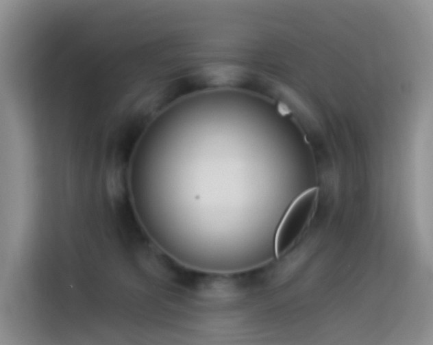 X0000114030325200910021443