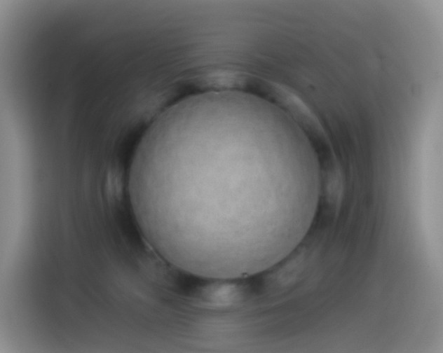 X0000114030326200910021443
