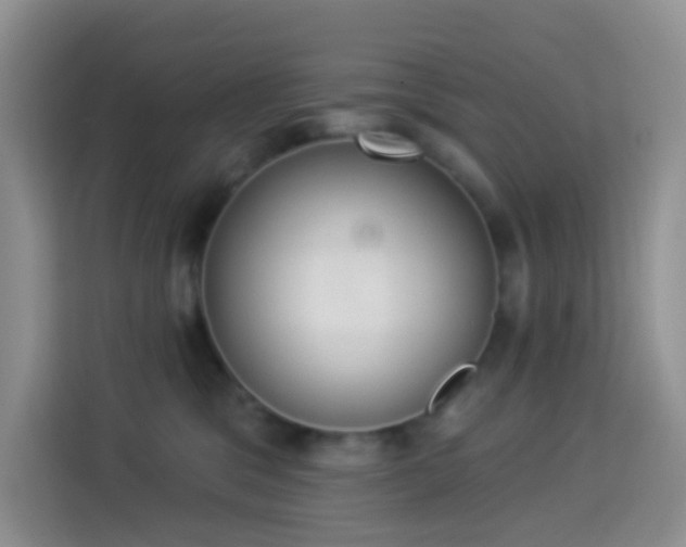 X0000114030329200910021443