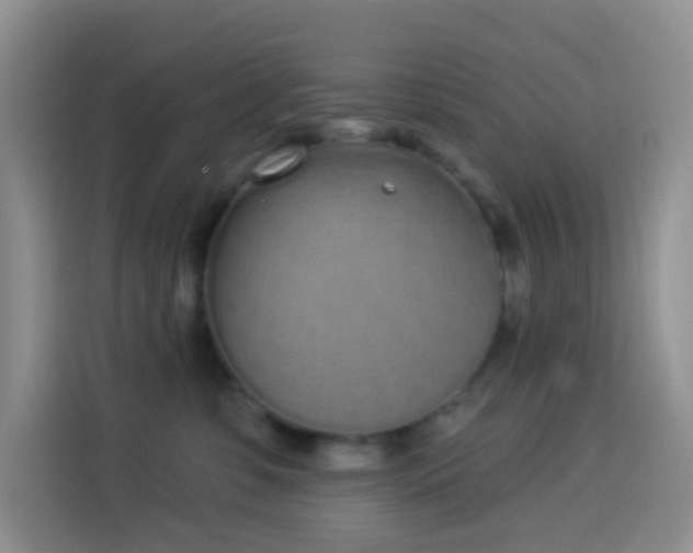 X0000114030331200910021443