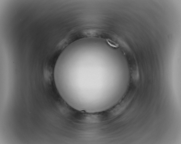 X0000114030332200910021443