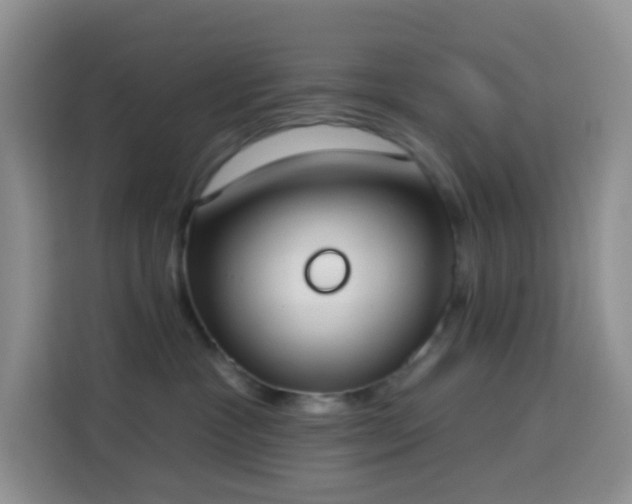 X0000114030333200910021443