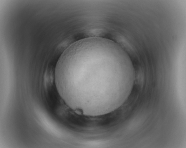 X0000114030334200910021443