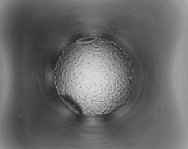 X0000114030336200910021443