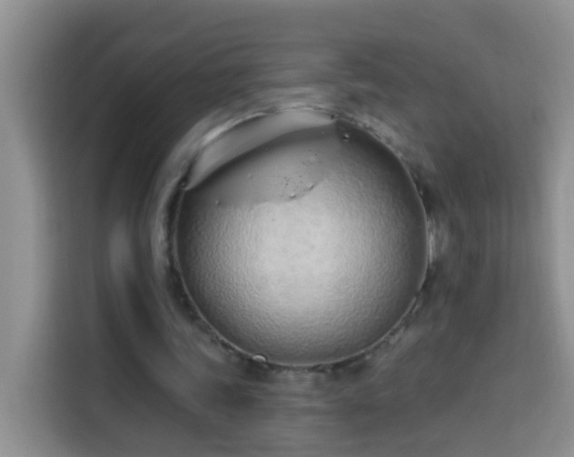 X0000114030339200910021443