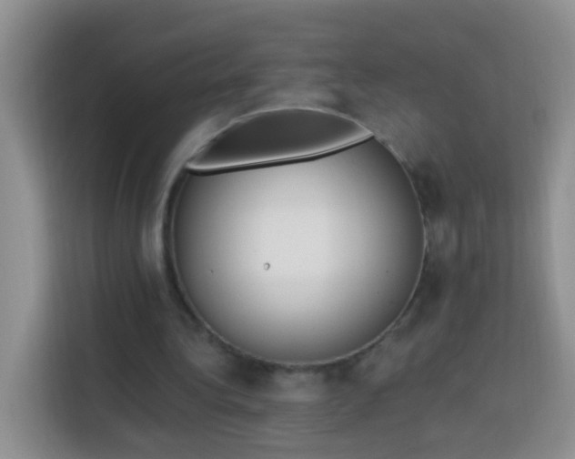 X0000114030340200910021443