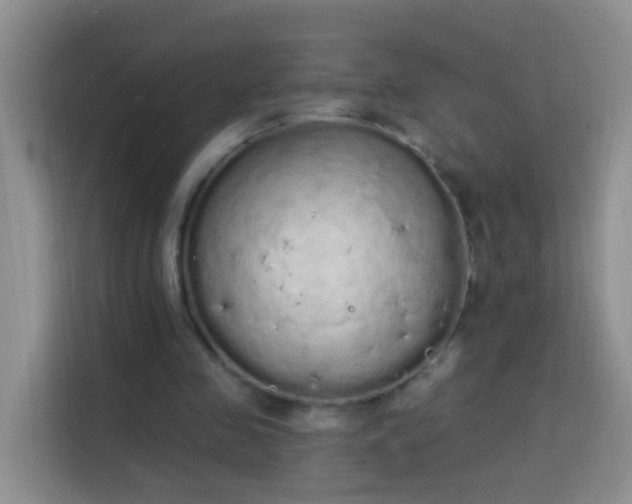 X0000114030341200910021443