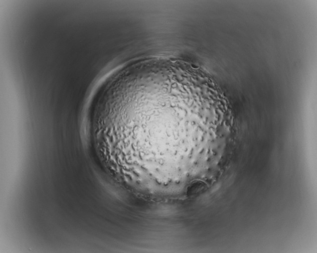 X0000114030343200910021443