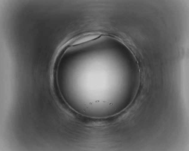 X0000114030344200910021443