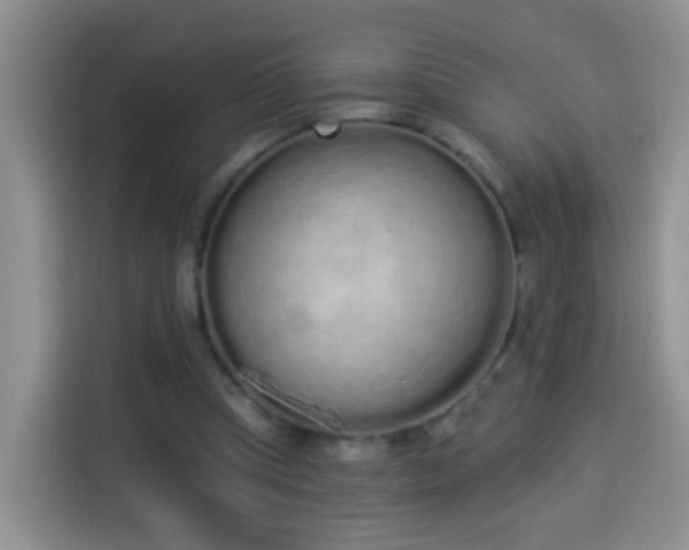X0000114030345200910021443