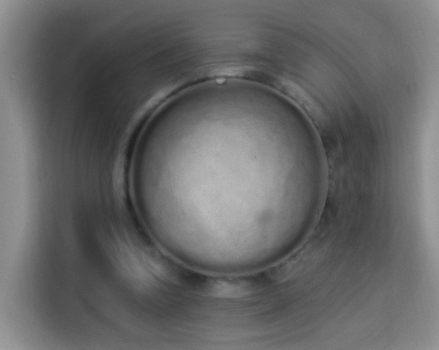 X0000114030346200910021443